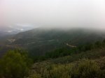 IMG_0039_1.jpg