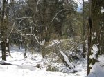31 ESCORIAL NIEVE.jpg