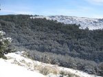 18 ESCORIAL NIEVE.jpg