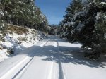 16 ESCORIAL NIEVE.jpg
