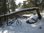 35 ESCORIAL NIEVE.jpg