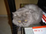 DSC00577.jpg