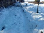 DSC00212.jpg