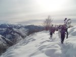SDC10385.jpg
