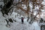 P1030418.jpg