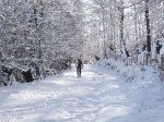 canal nevado 005.jpg
