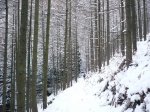 canal nevado 009.jpg