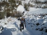 IMG_4273.jpg