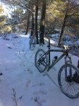 04122010039.JPG