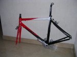 CUADRO GIANT-STEVENS 009.jpg
