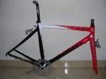 CUADRO GIANT-STEVENS 005.jpg