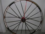 BICI GIANT CTRA-SILLIN-Q RINGS-3D 018.jpg