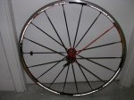 BICI GIANT CTRA-SILLIN-Q RINGS-3D 020.jpg