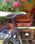 07-12-10_1315.jpg