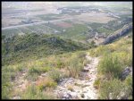 PICT0077.jpg