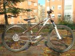 DSC03236.JPG