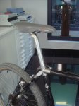 DSC07554.jpg