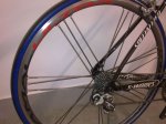 Copia de 09122010069.jpg