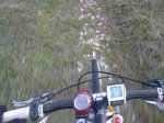 10122010045.JPG