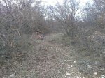 10122010054.JPG