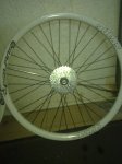 11122010894.jpg