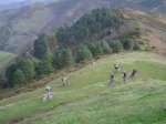 ds_DSC00218.jpg