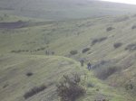 ds_DSC00208.jpg