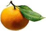 naranja.jpg