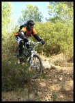 PICT0064.jpg