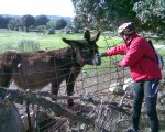 06-Burros.jpg