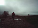 FILE0184.JPG