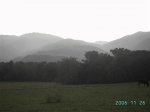PICT0886 (Medium).JPG