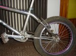 DSC01613.JPG