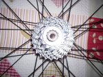 cassette tiagra 12-25.jpg