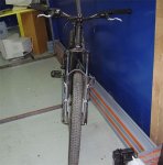 wood4.jpg