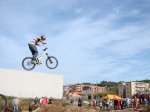 willow no hander.jpg
