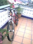 mi bike1 [500x480].JPG