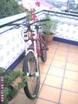mi bike2 [500x480].JPG