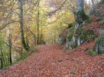 DSCN2193.jpg