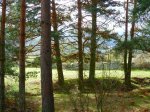 Foto18.JPG