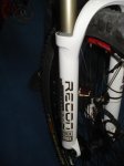 DSC01813.JPG