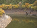 IMG_2542.JPG