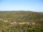 IMG_4569.jpg