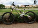 CANNONDALE PROPHET.jpg
