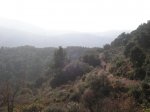 m_101_0230.jpg