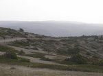 m_101_0338.jpg