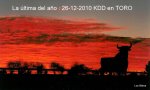 spanish-bull-toro-espanol.jpg