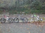 IMG00011-20101212-0921bis.jpg
