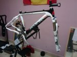 IMAG0563.jpg