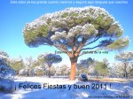 DSCN2346-2.JPG